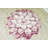 Bigby Floral Indoor Rug-748192381