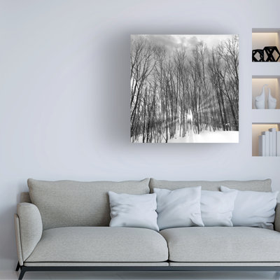 Wrapped Canvas Wall Art - Alan Blaustein 'JP1018_AB' Wall Art for Living Room, Bedroom, or Office Décor  - 14x14