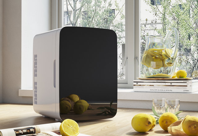 Top-Rated Mini Fridges