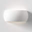 Milo 1 - Light Flush Mounted Sconce