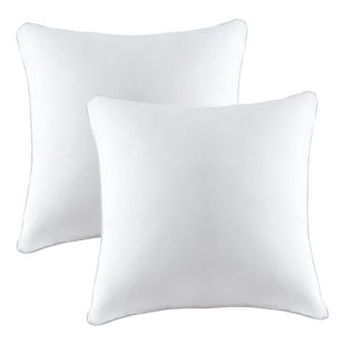Coussins décoratifs en duvet et duvet (ensemble de 2) - Intérieur décoratif, lavable à la machine (Ensemble de 2)