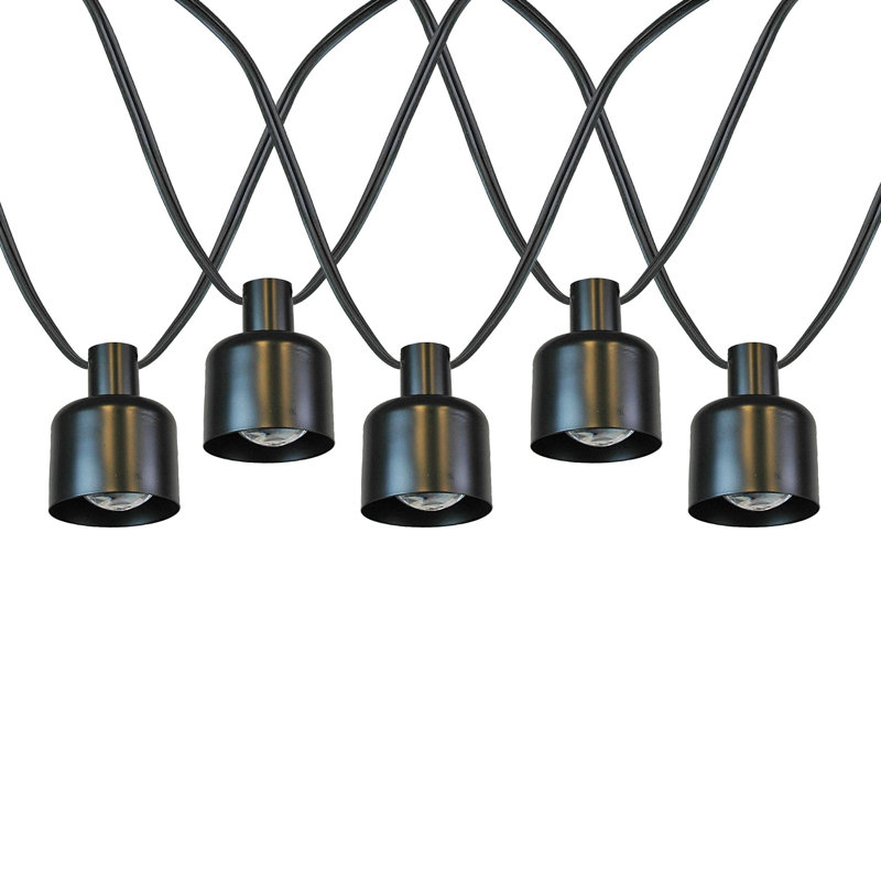 Doyne Outdoor 10 - Bulb 11'' Plug-in LED Globe String Light
