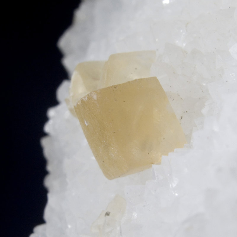 Landscape & Nature Crystal