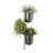 Planter-1071653965