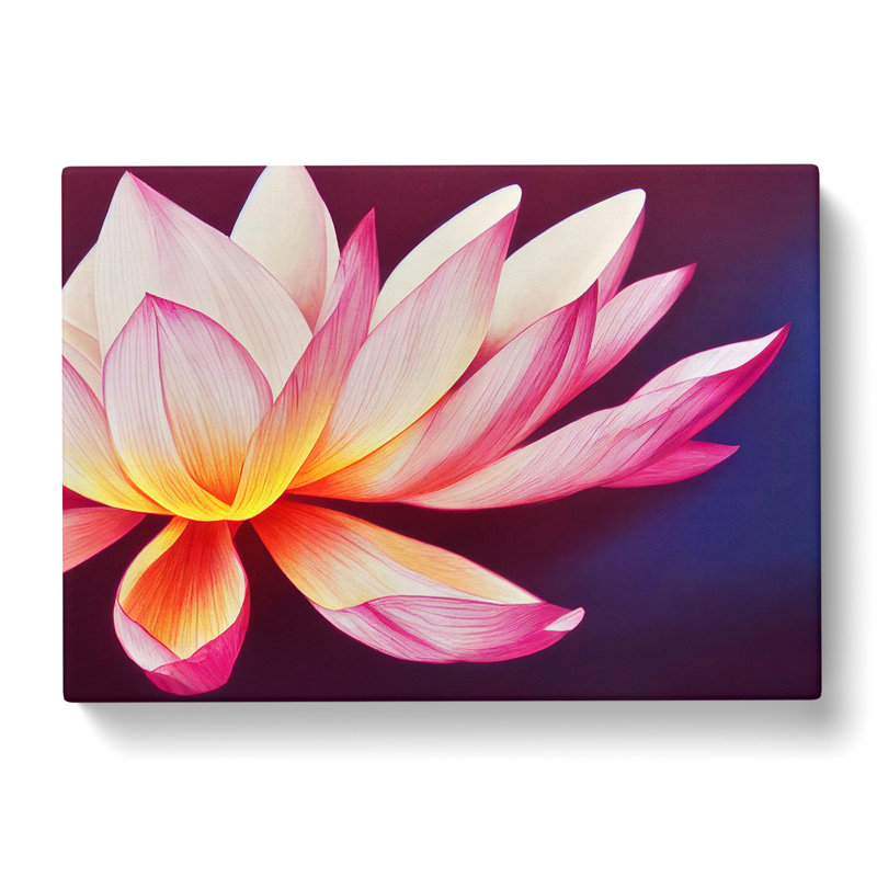 Miraculous Lotus Flower - Wrapped Canvas, 50cm H x 76cm W x 3cm D