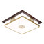 Ceiling Light,