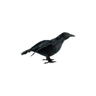 Halloween Bird Figurines & Collectibles