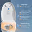 Siège de toilette à bidet électronique Annwa