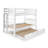 Treva Solid Wood Standard Twin over Twin Bunk Beds with Ladder and Twin Trundle-1081052640