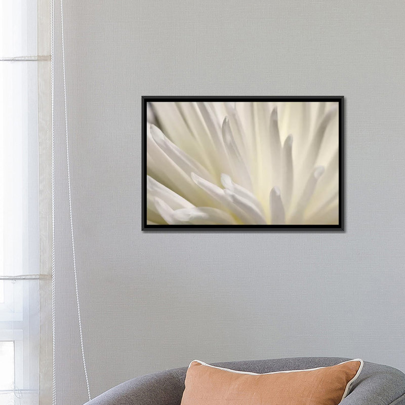 «White Flower» par PhotoINC Studio - reproduction de photo sur toile tendue, H 18 po x l 26 po x P 1,5 po