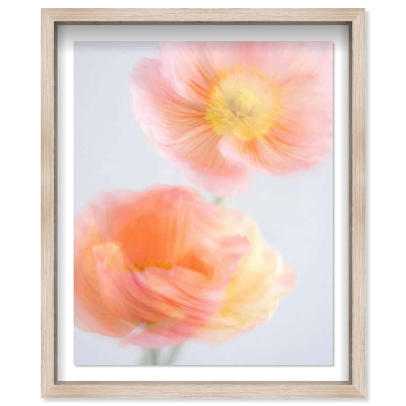 Hazy Camelias Shadowbox Floral & Botanical Print by Oliver Gal, Black Frame, 16 x 20, 21.5"H x 25.5"W, Natural Oak Shadowbox