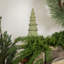 Stoneware Tree