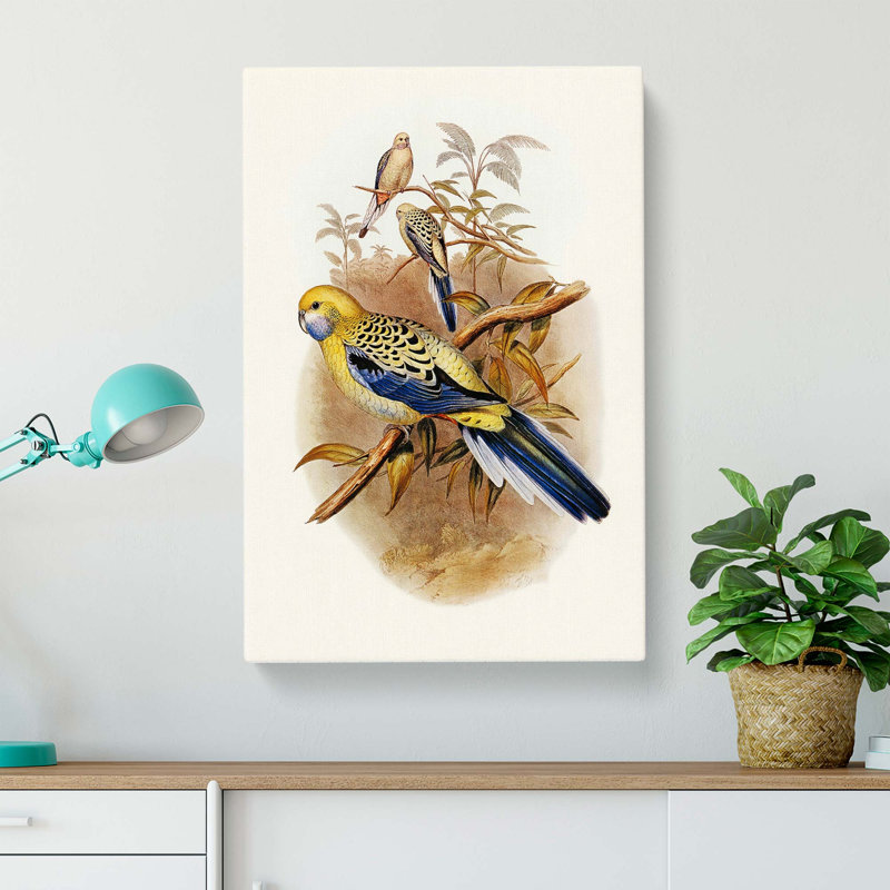 Blue-cheeked Parakeet by Elizabeth Gould - Wrapped Canvas Painting, 60cm H x 40cm W x 3cm D