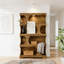 Practical Display Shelves,Bookshelf,S-Shaped Storage Bookcase-564484396