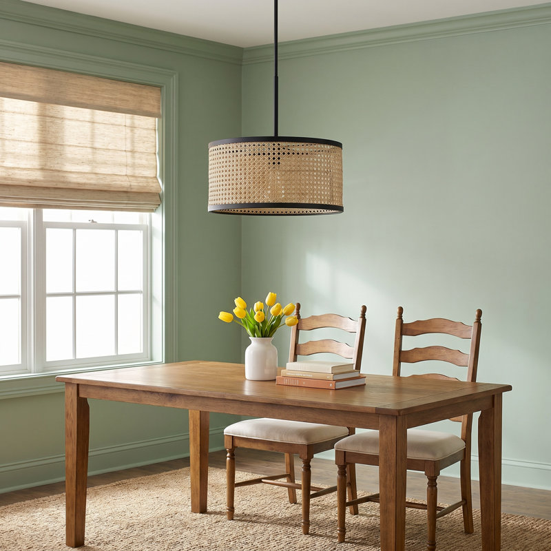 Drax 1 - Light Single Drum Pendant