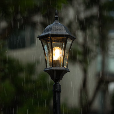 Eris Transparent Lamp Post (Full)