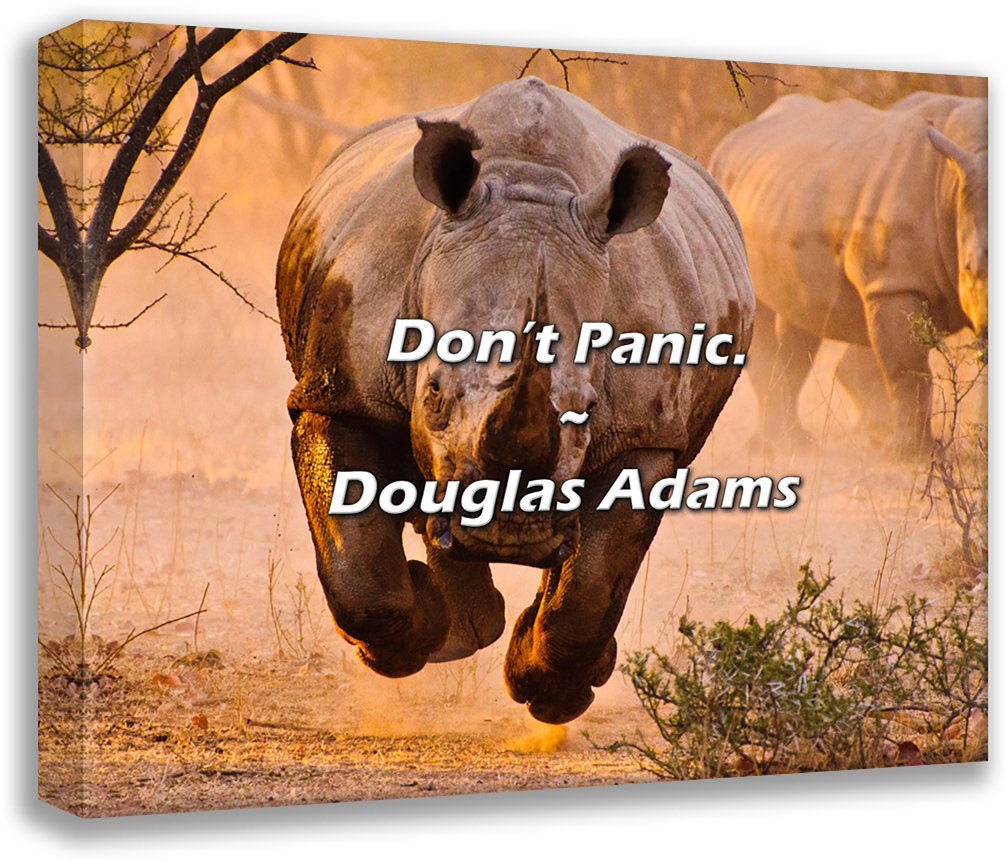 Trinx Douglas Adams Quote: Don’t Panic. | Wayfair