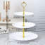 East Urban Home Polypropylene Plastic Tray