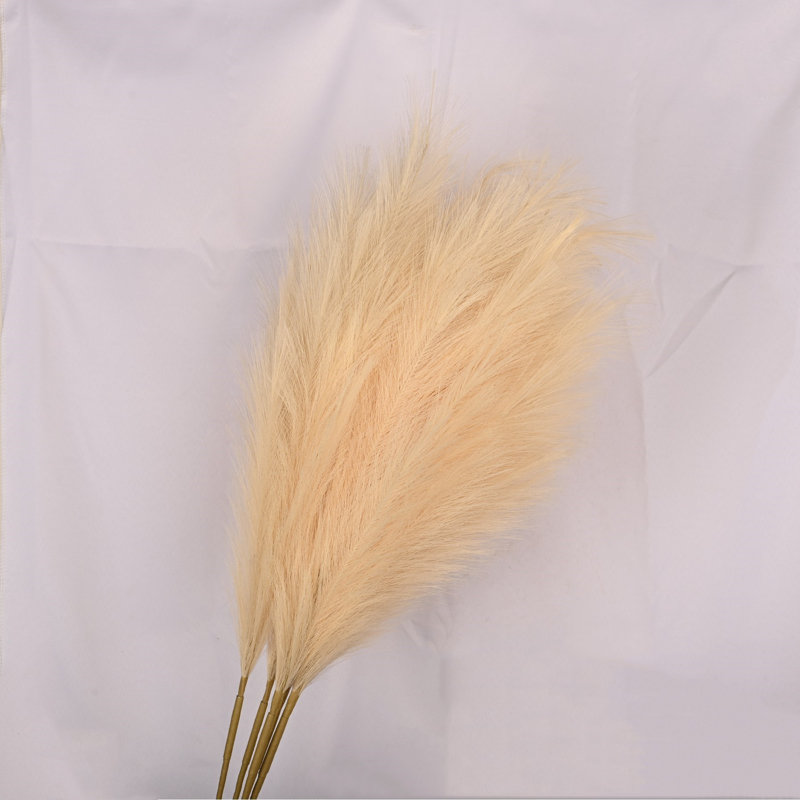 Pampas, Ivoire, H 43 po x l 8 po