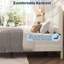 Structure de lit tapissier en velours avec tête de lit et rangement sous le lit, sans sommier, support de lattes en bois silencieux-628036303-628036300