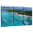 Tobago Cays Yachts-292986194