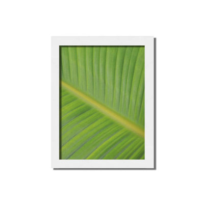 Bird of Paradise I par Kelly Wade. Impression sur papier - Montée et encadrée