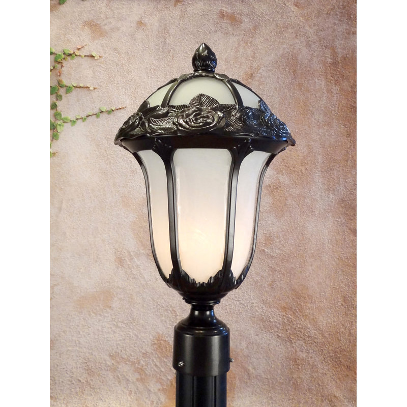 Morningside Drive Lantern Head, Black, Seedy