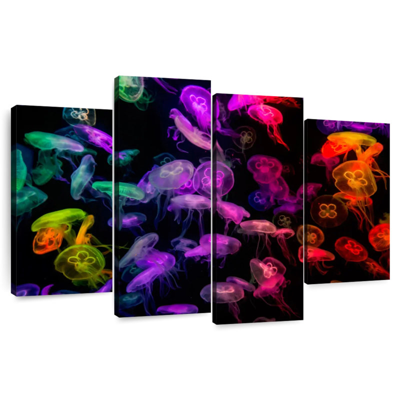 Méduse colorée Brampt, H 32 po x l 52 po