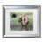 Silver Framed