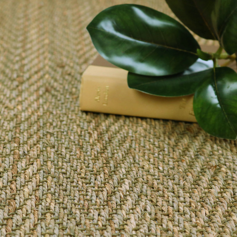 Dorothea  Indoor Rug, Rectangle 3' x 5'
