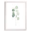 « mou eucalyptus branch i » par paul cezanne-cadre photo, reproduction d’art-693925080-693925083-693953563