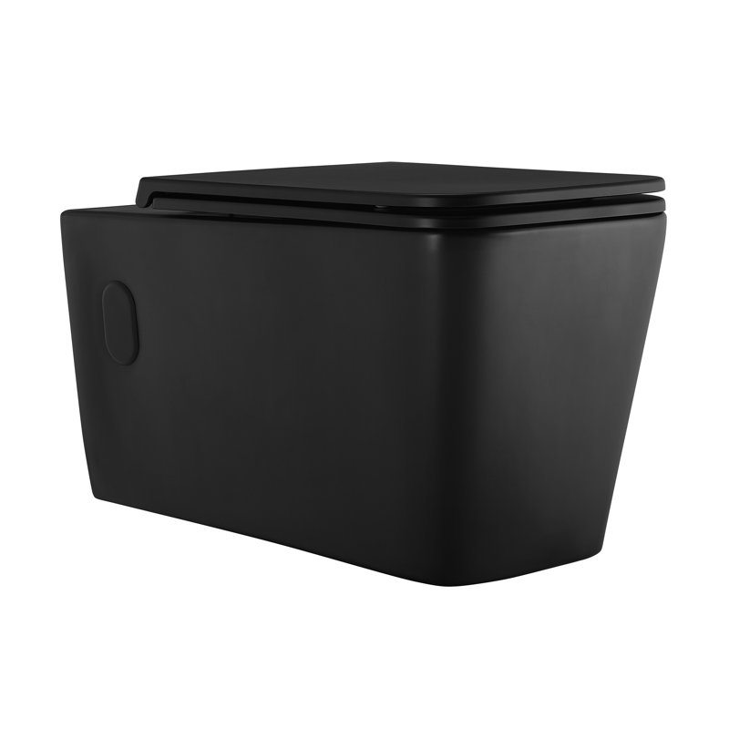 Ensemble de toilette à double chasse avec plaque de chasse 0,8 / 1,6 GPF Concorde, Noir mat / laiton