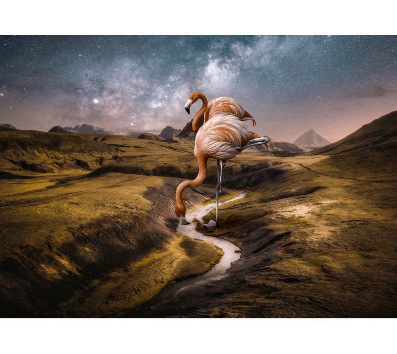 Wrapped Canvas Print