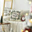Housse de coussin Christmas Merry & Bright Eucalyptus Mistletoe-105510182-105510183