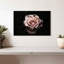 Rose œillet Harnek-108700741