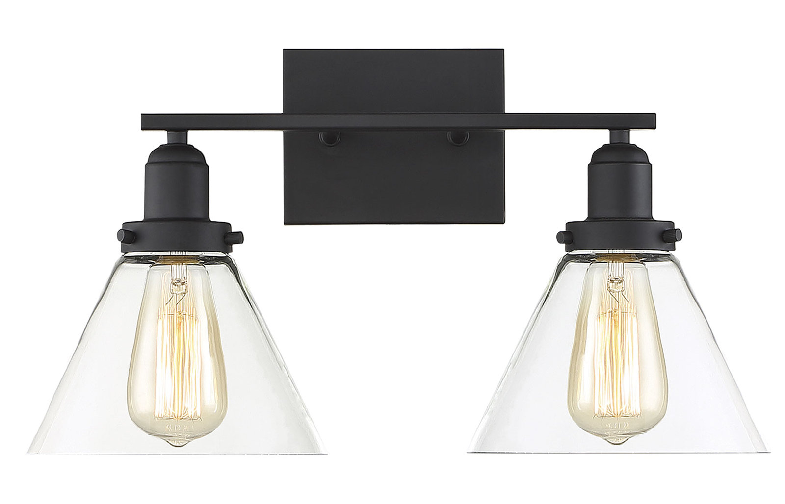 Catalina 2-Light Dimmable Vanity Light, Black