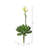 Mixed Assortment Arrangement