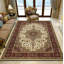 Karaman Floral Area Rug-837746563