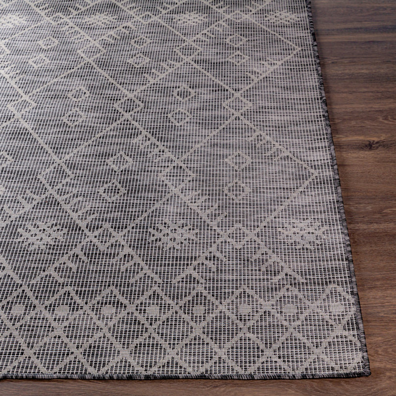 Tapis intérieur / extérieur gris anthracite Isaha, Tapis de couloir 2 pi 6 po x 7 pi 3 po