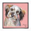 «Cute Fluffy Dog», reproduction sur toile encadrée-1306442369-1306442495