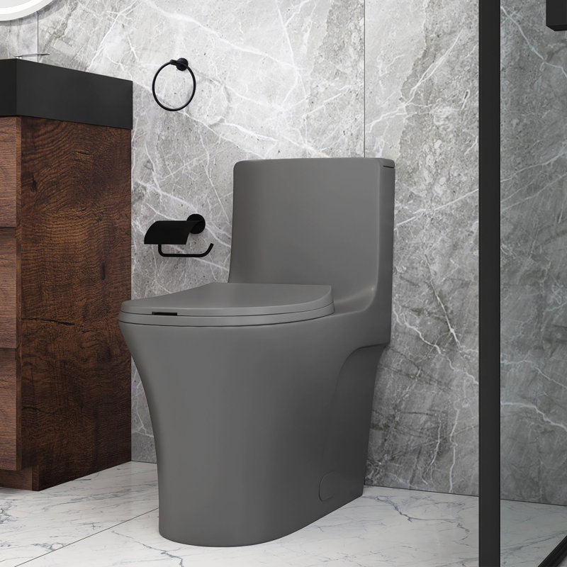 Toilette allongée une pièce Bossicavelly 1,6 GPF (siège inclus), Gris