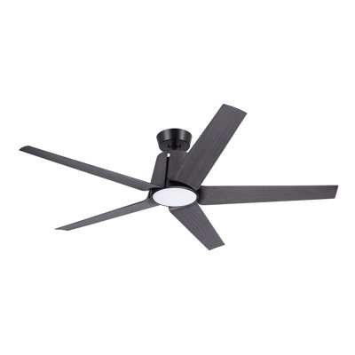 Akhavi Ceiling Fan with LED Lights