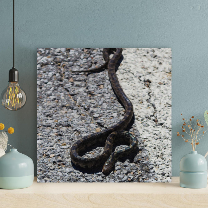 Serpent noir et brun sur un plancher de béton - peinture sur toile tendue, H 32 po x l 32 po