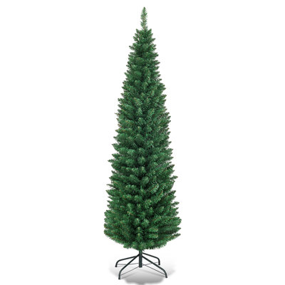 Spruce Christmas Tree