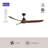 Baylor 60-in White Ceiling Fan