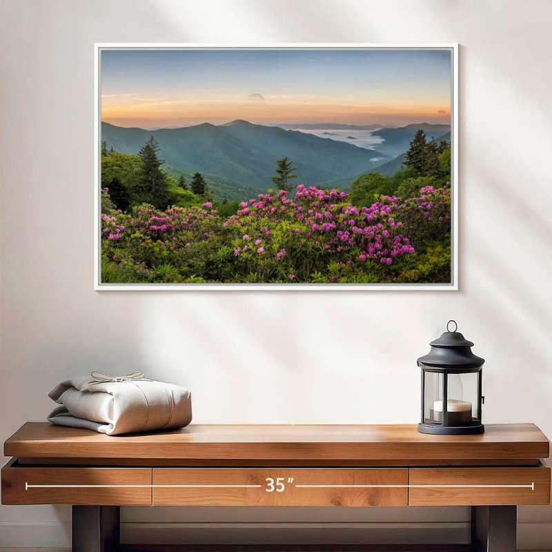 Blue Ridge Mountains View, 25 po x 17 po, Cadre flottant blanc