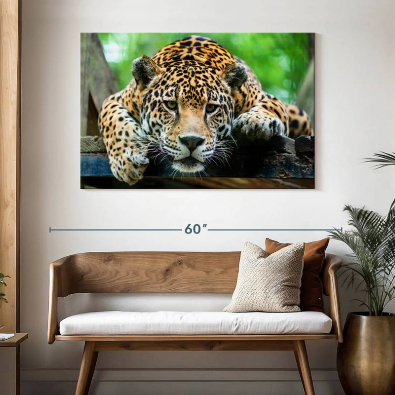 Crowle Lazy Leopard, H 32 po x l 48 po
