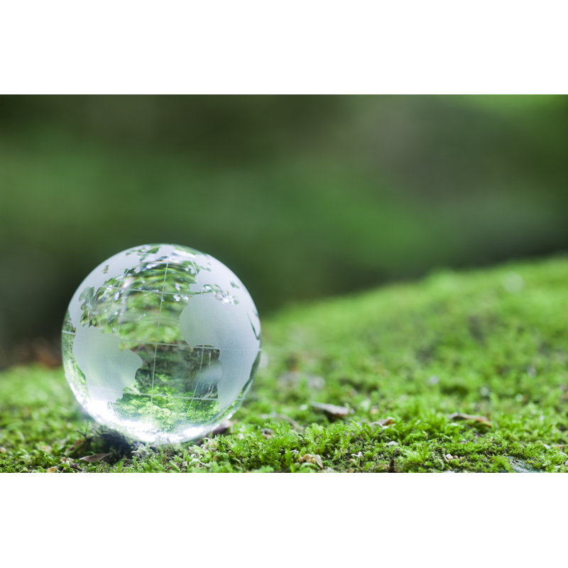 Globe terrestre sur Mossy Rock par Ooyoo, H 8 po x l 12 po