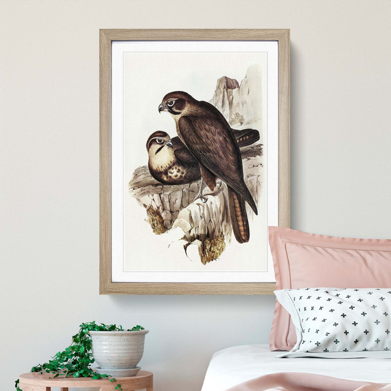 Brown Hawks by Elizabeth Gould - Picture Frame Painting Print, 65cm H x 48cm W x 2cm D, Oak Framed
