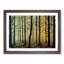 An Enthralling Forest - Framed Print-1442809903-1442809902